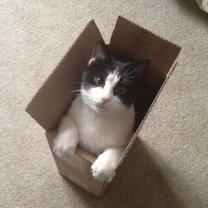 Meet your Posher, Terry